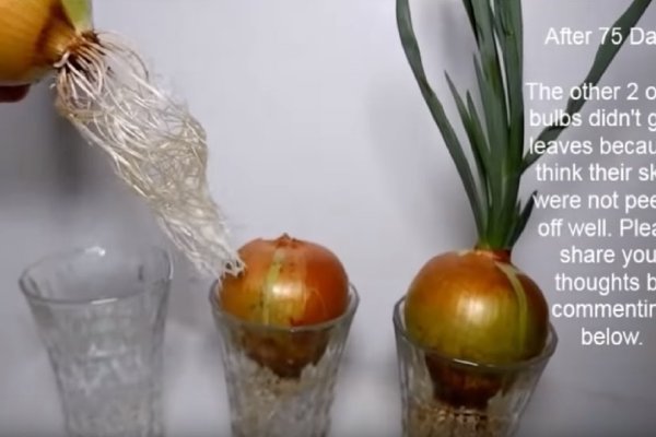 Кракен тор ссылка магазин