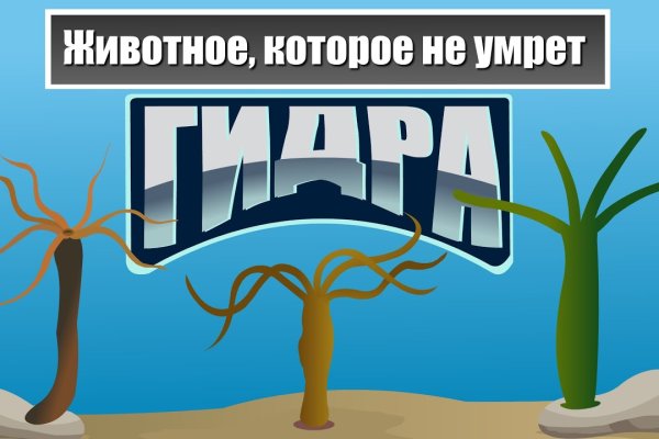 Кракен омг мега